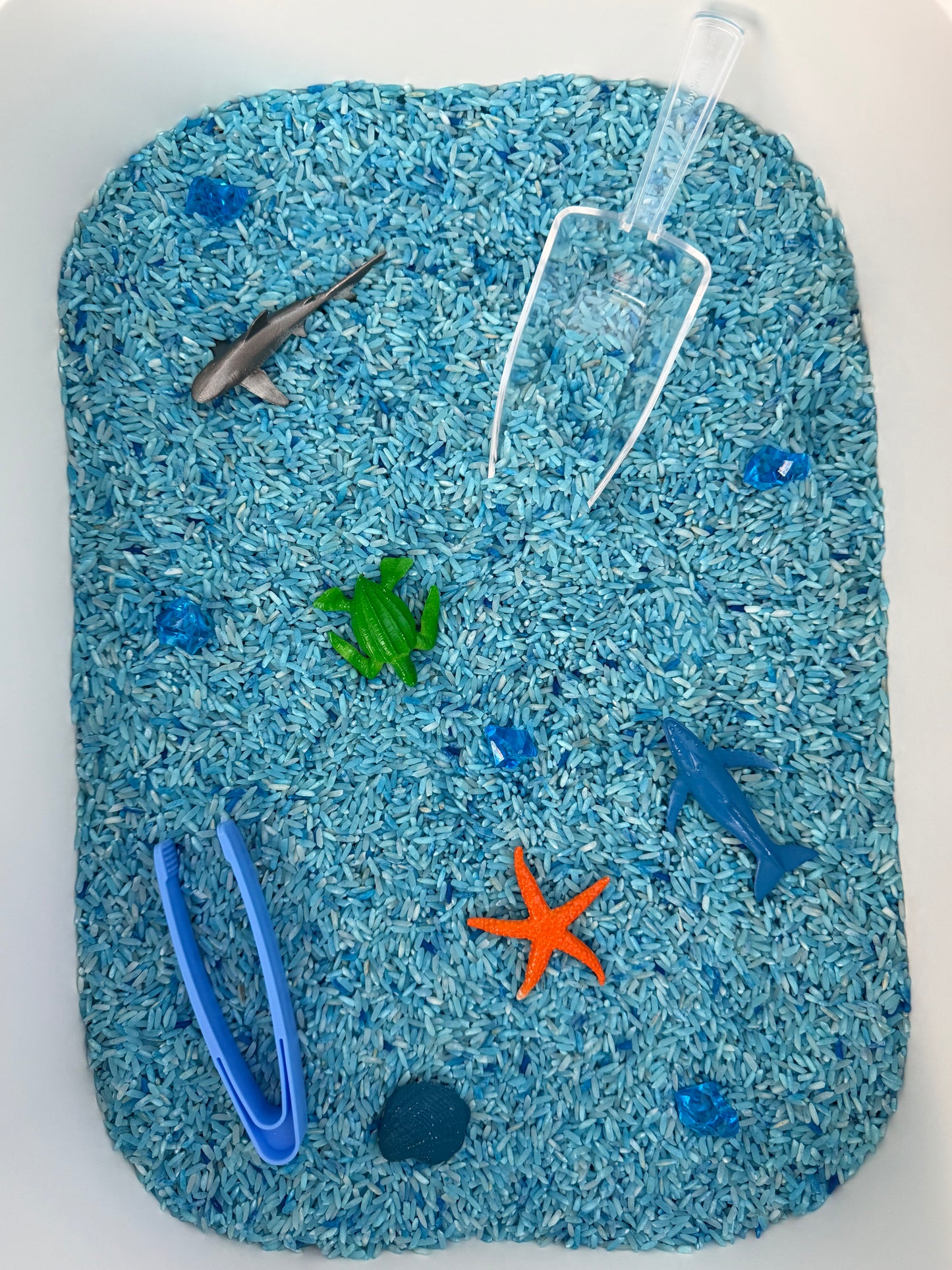 "Ocean Adventure" Pour + Play Pack